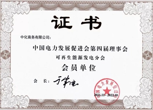 同题参见同时成为可再生能源发电分会会