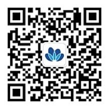 栏目用于追新